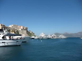 calvi