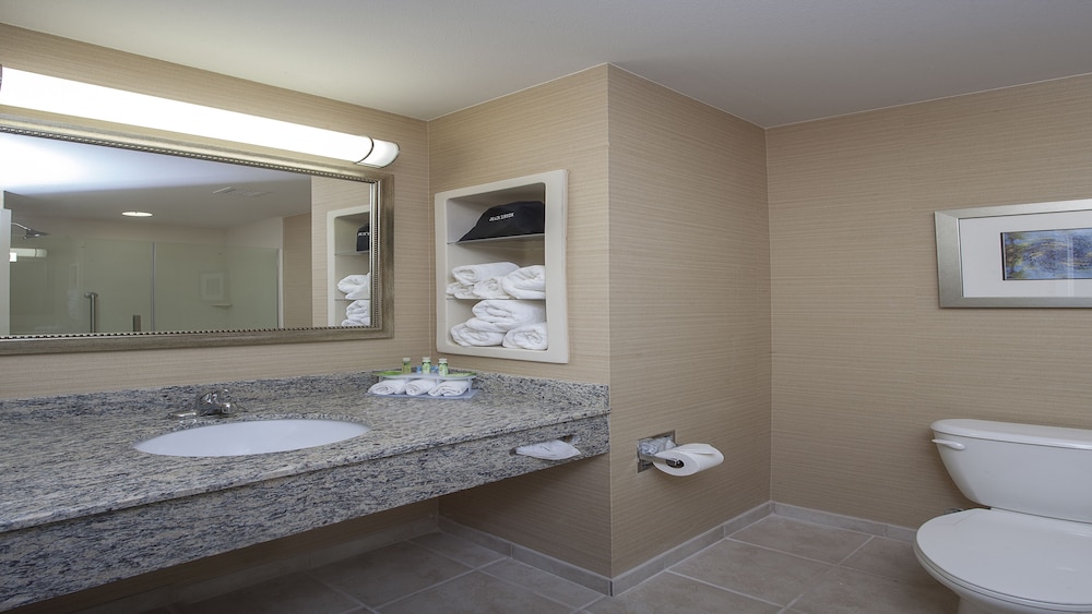 holiday inn express and suites morgan city tiger i
