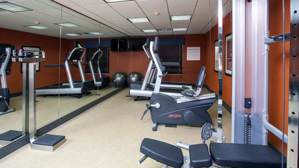 holiday inn express and suites morgan city tiger i