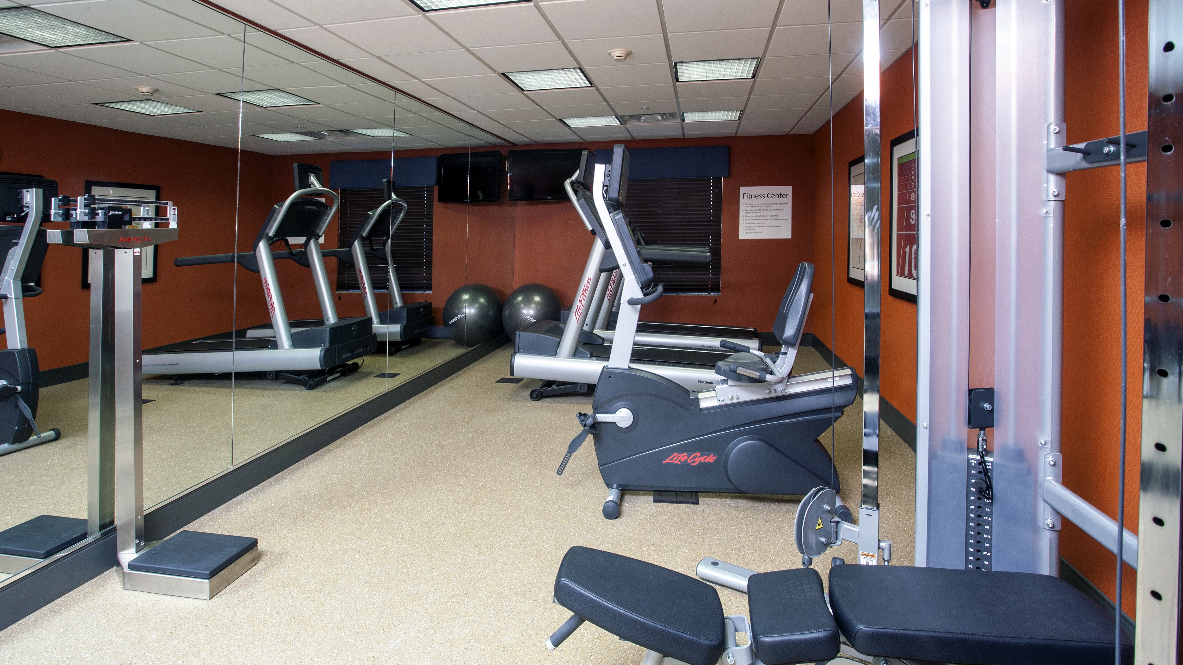 holiday inn express and suites morgan city tiger i