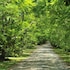 summerfield luxury resort and botanical garden