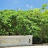 summerfield luxury resort and botanical garden