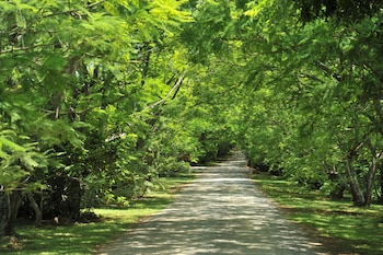 summerfield luxury resort and botanical garden