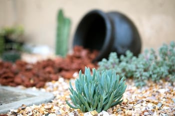 roy inn suites a sacramento midtown