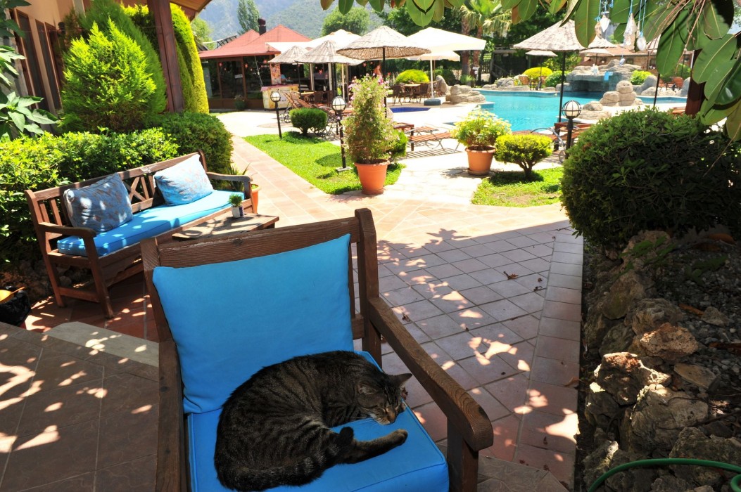 grenadine lodge