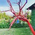 grenadine lodge