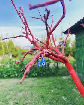 grenadine lodge