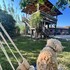 grenadine lodge