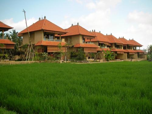 green field hotel ubud