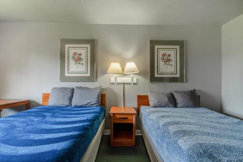 economy inn by oyo livingston tx hwy 59