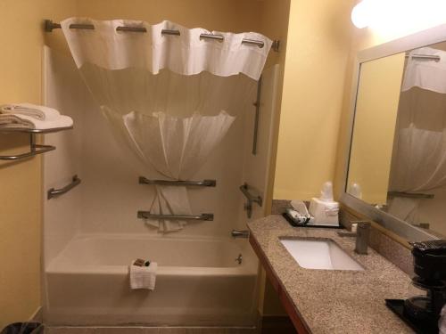 loyalty inn hawkinsville