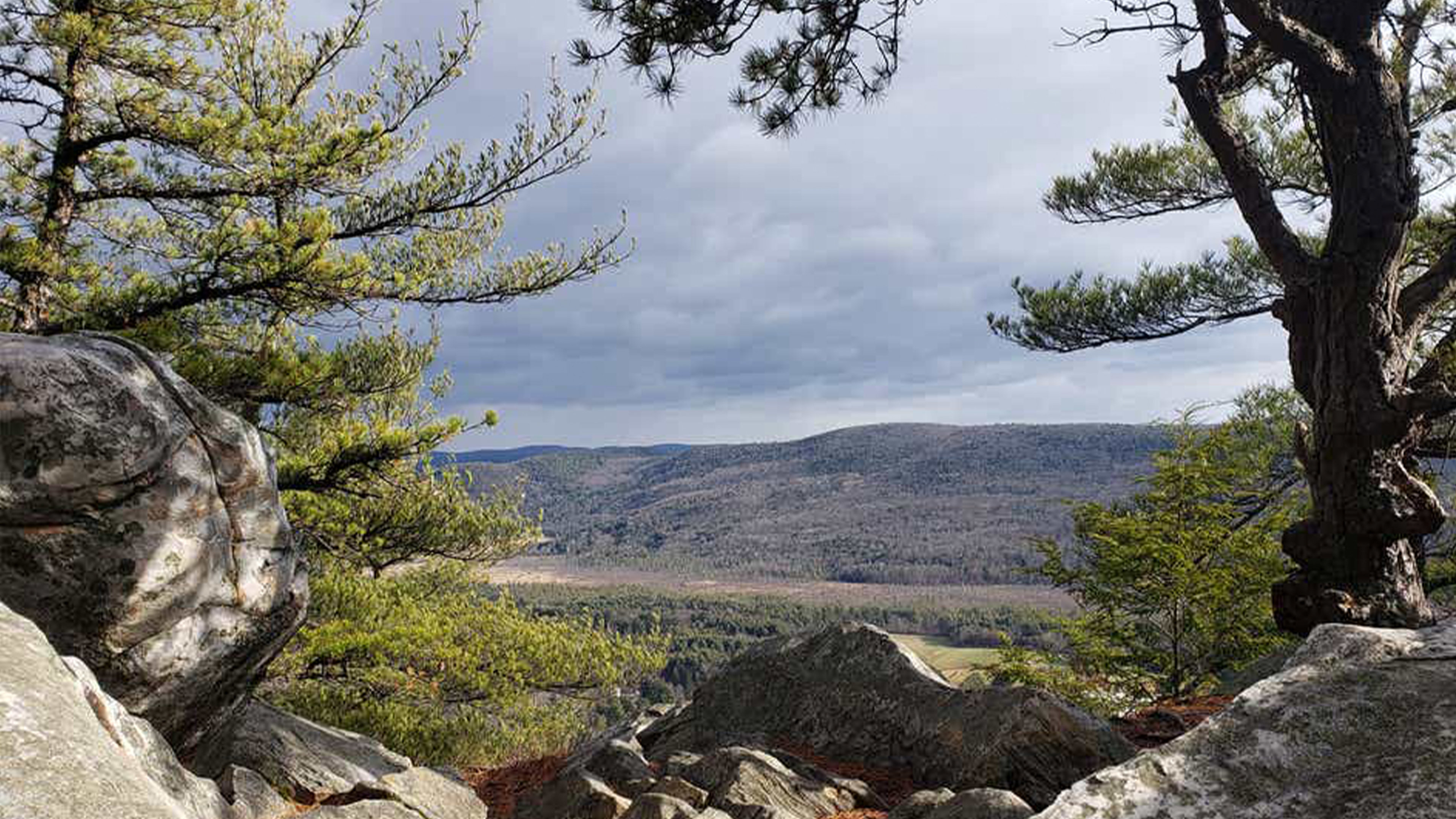 holiday inn club vacations oak n spruce resort berkshires