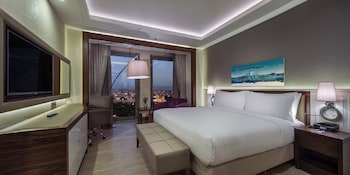 doubletree by hilton istanbul topkapi
