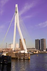 leonardo hotel rotterdam savoy