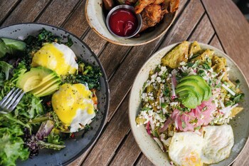 costanoa lodge and camp