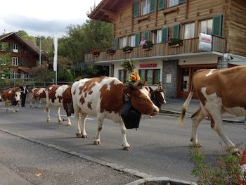 krattigen