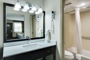 quality inn and suites athens university area