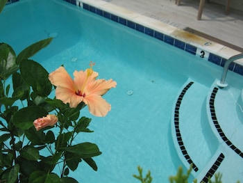 Canalside Inn,Rehoboth Beach>>Dewey Beach,3 star