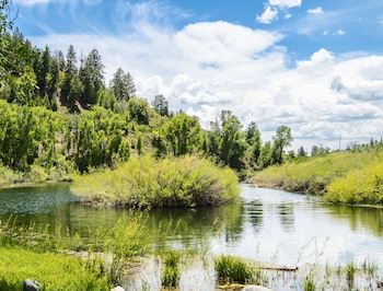 high creek lodge and cabins