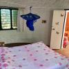 tradewinds lodge