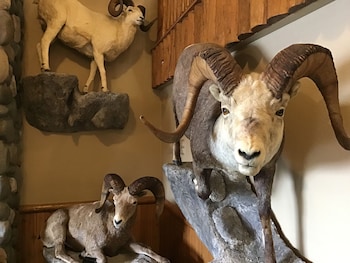 Americinn By Wyndham Cody,Yellowstone National Park>>Cody,3 star