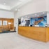 best western lubbock west inn and suites