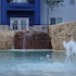 best western lubbock west inn and suites