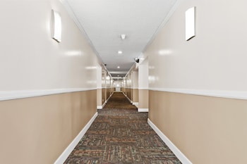 brookhurst plaza inn