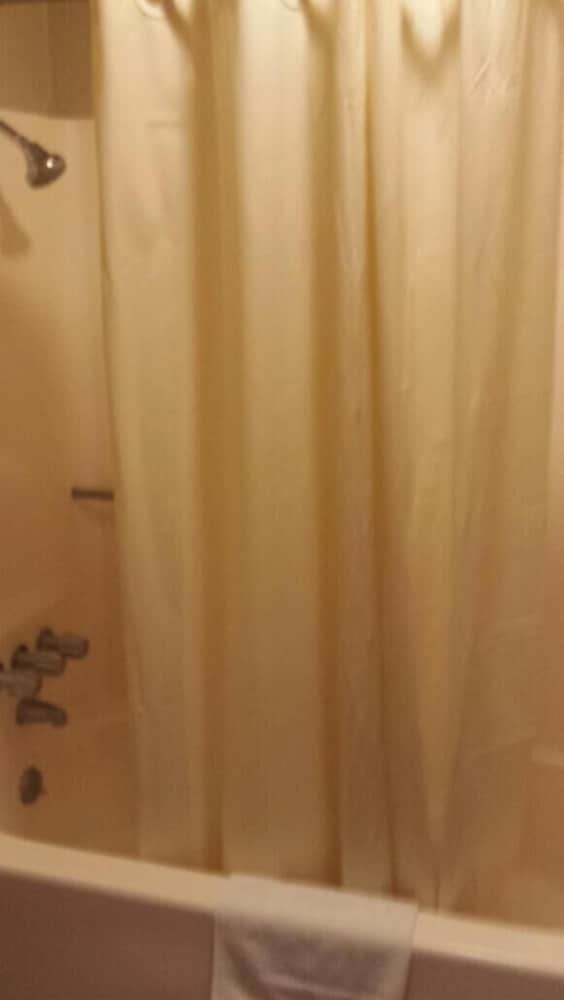 carefree inn flatonia