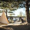 The Amigo Motor Lodge,Modesto>>Buena Vista,3 star