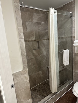 palace inn i 45 and bellfort