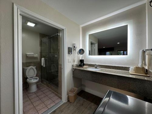 Palace Inn I-45 & Bellfort,,3 star