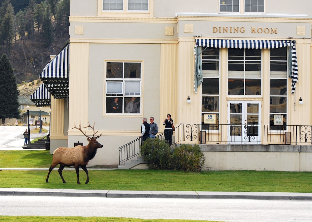 mammoth hot springs and cabins inside the park