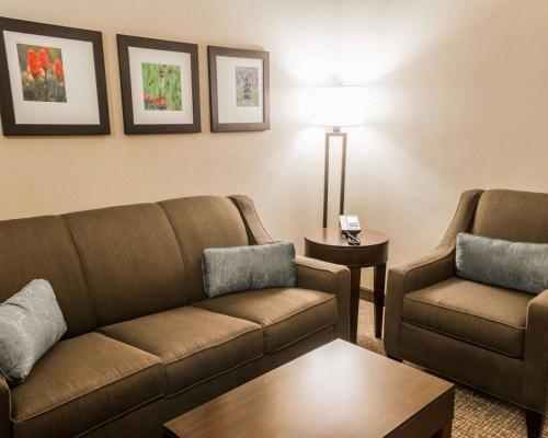 comfort inn and suites