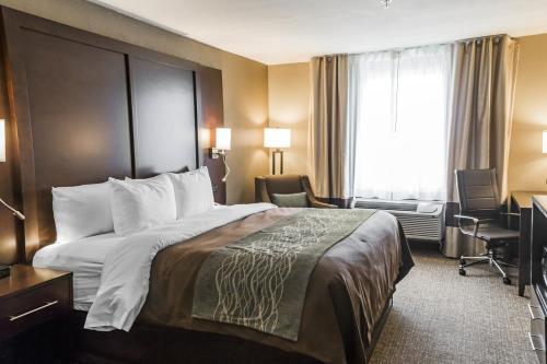 comfort inn and suites