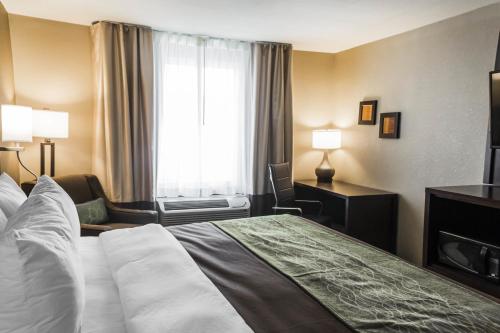 comfort inn and suites
