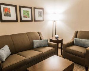 comfort inn and suites