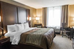 comfort inn and suites