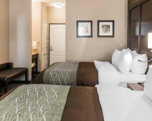 comfort inn and suites
