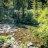 dunsmuir