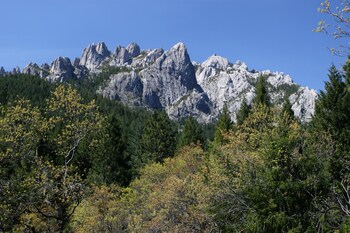 dunsmuir