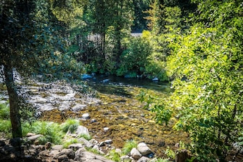 dunsmuir