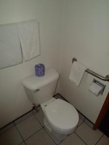 economy inn morgan hill