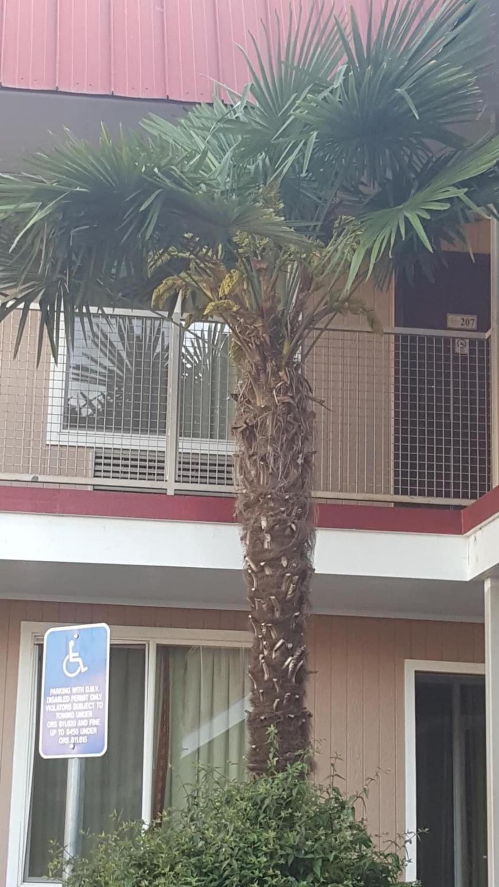 express inn and suites
