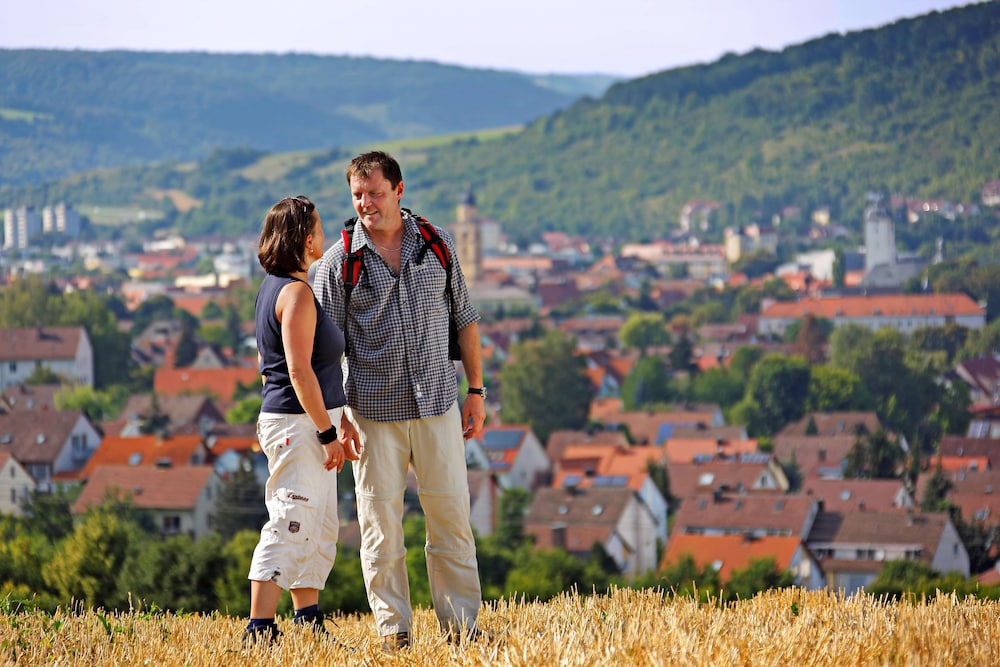 best western premier parkhotel bad mergentheim