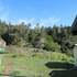 gualala country inn