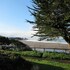 gualala country inn