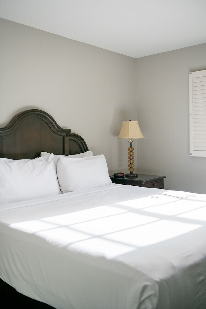 french quarter suites hotel