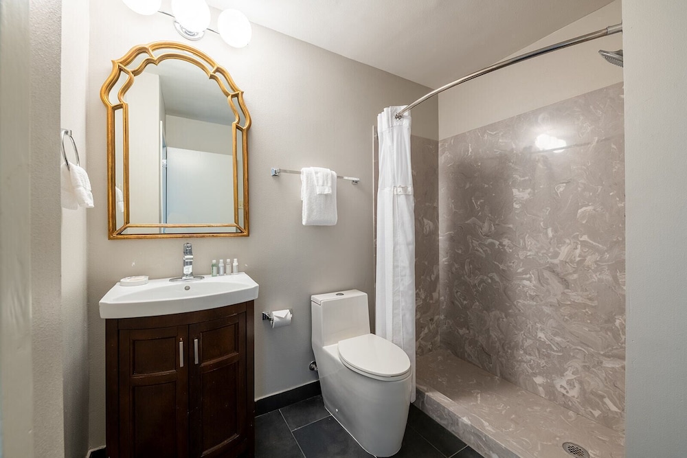 french quarter suites hotel