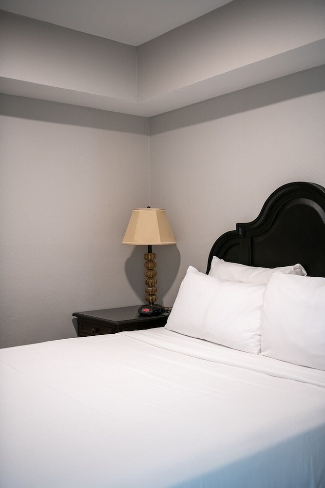 french quarter suites hotel